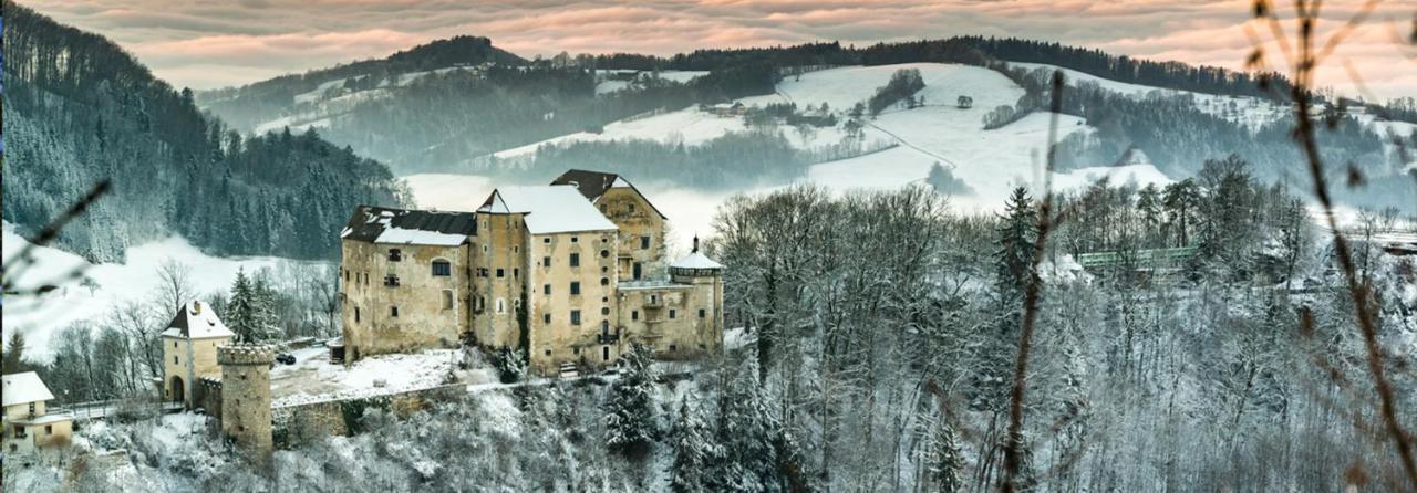 Hotel Burg Plankenstein Texing Exterior foto